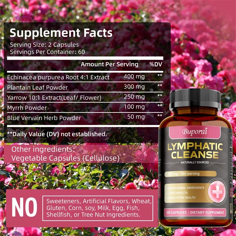 Lymphreinigungsergänzungsmitte – Health Wellness Energy Bewertung und Preis