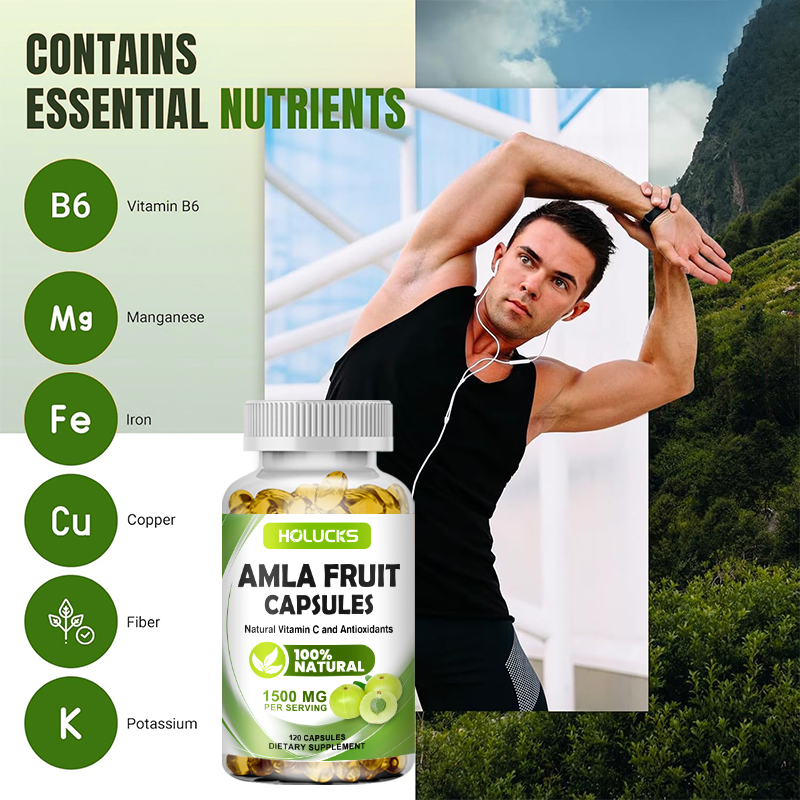 HOLUCKS Amla-Fruchtextrakt-Kap – Health Wellness Energy Bewertung und Preis