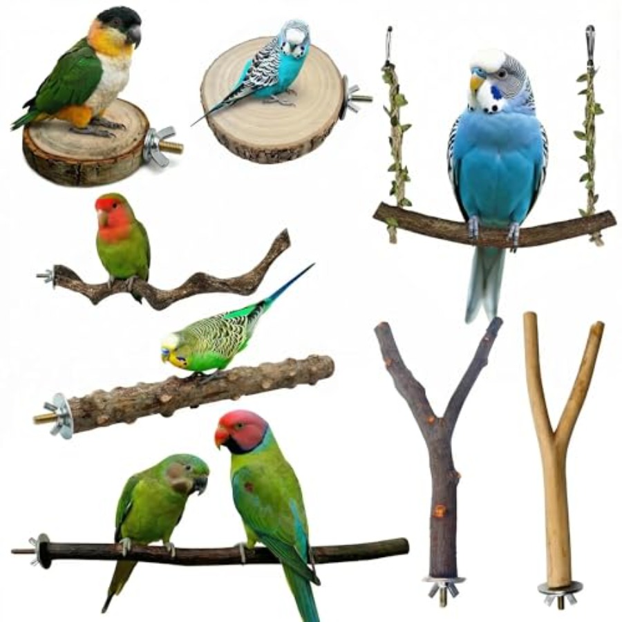 8 Stück Vogelsitzstangen aus N – Health & Wellness Pay Bewertung und Preis