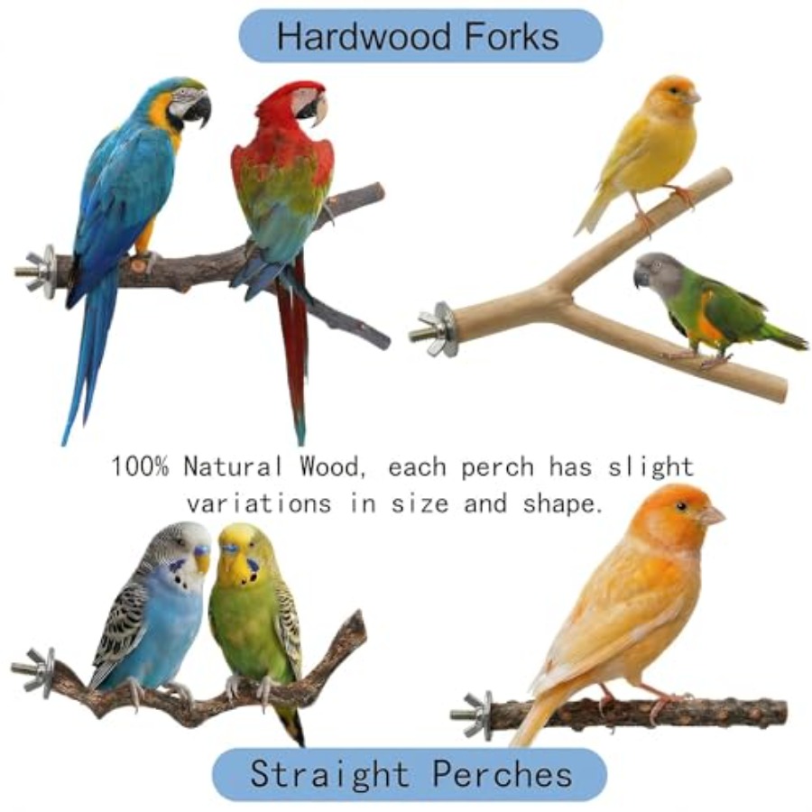 8 Stück Vogelsitzstangen aus N – Health & Wellness Pay Bewertung und Preis