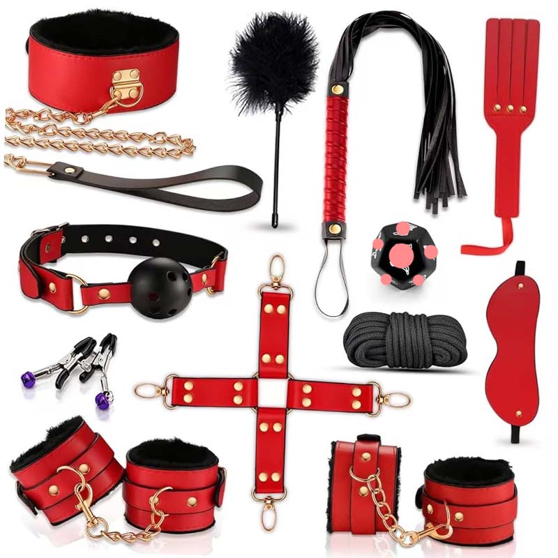 12-teiliges BDSM-Bondage-Sexsp – Health Wellness Kit Bewertung und Preis